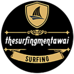 icon website thesurfingmentawai - jasa pembuatan website partnesablon.com